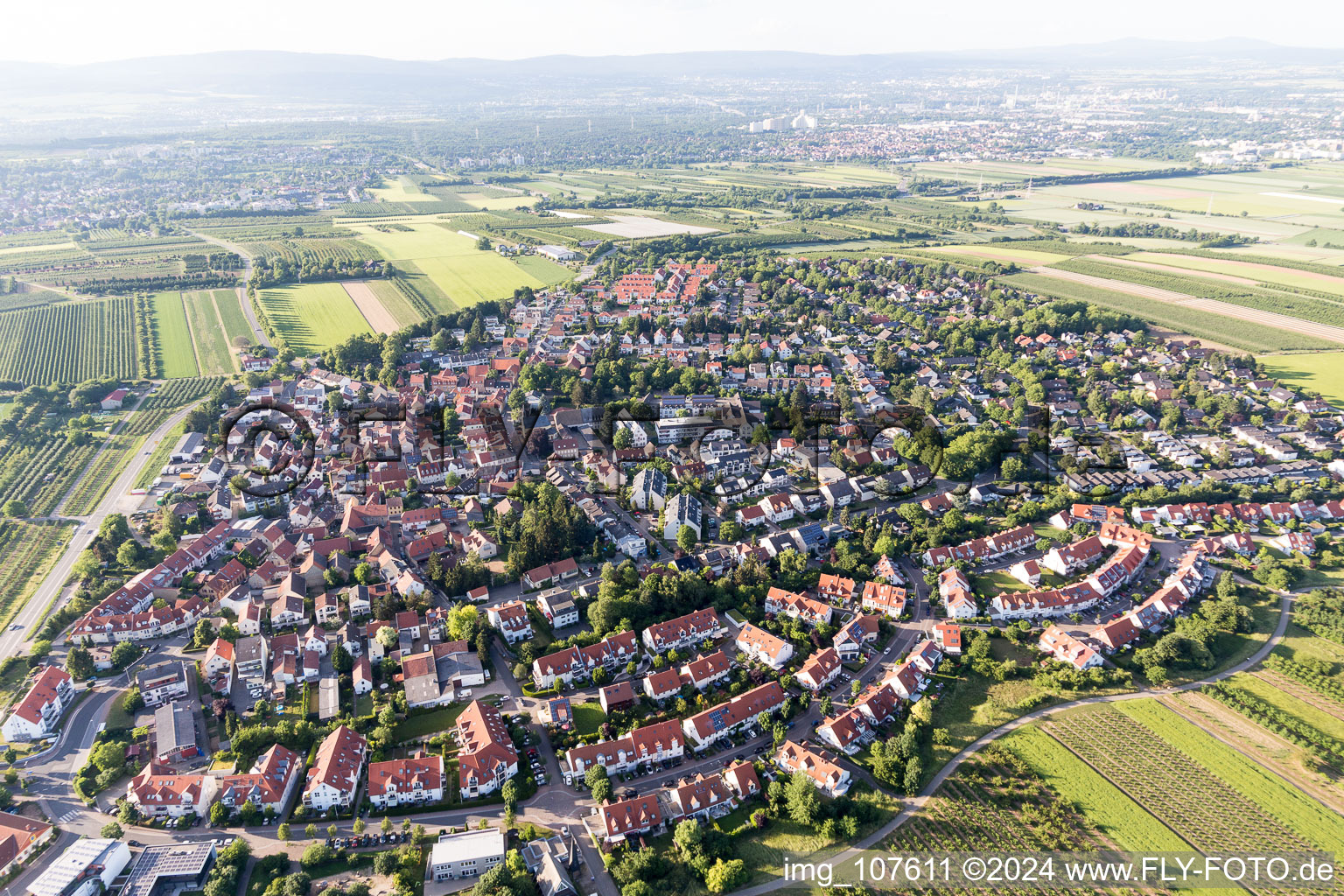 District Drais in Mainz in the state Rhineland-Palatinate, Germany