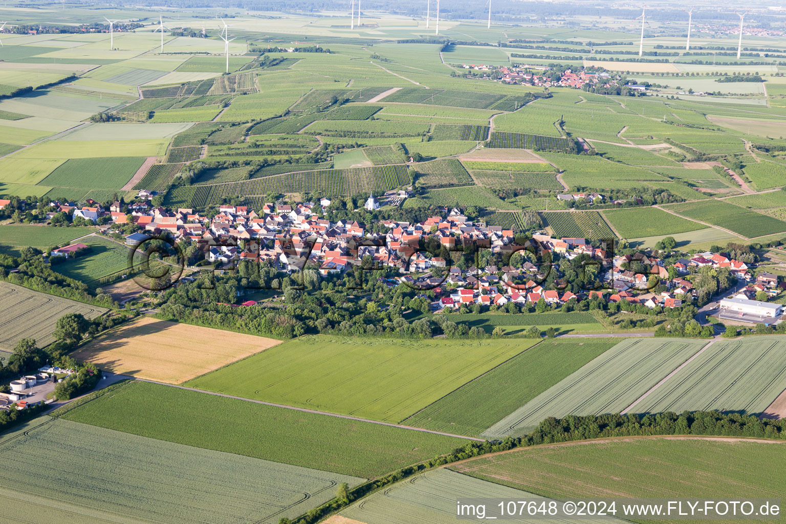 Oblique view of Hillesheim in the state Rhineland-Palatinate, Germany