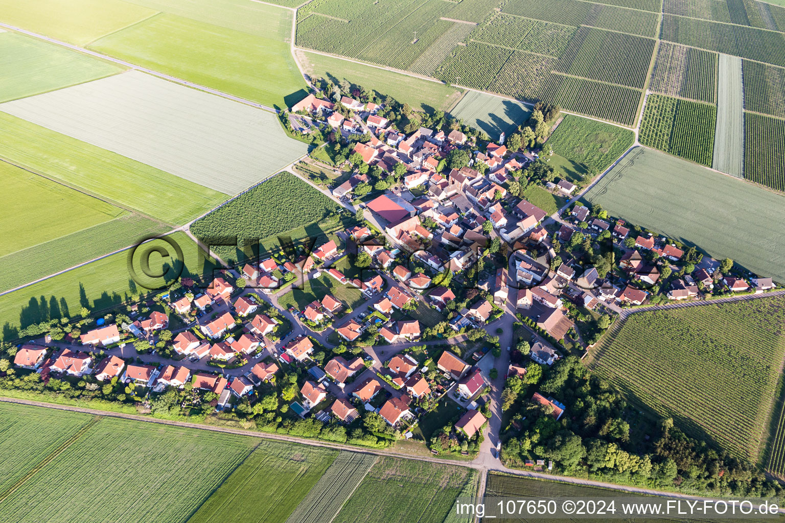 Aerial photograpy of Agricultural land and field borders surround the settlement area of the village in Frettenheim in the state Rhineland-Palatinate, Germany