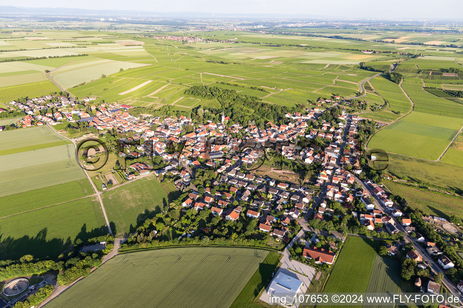 Drone image of Agricultural land and field borders surround the settlement area of the village in Dittelsheim-Hessloch in the state Rhineland-Palatinate, Germany