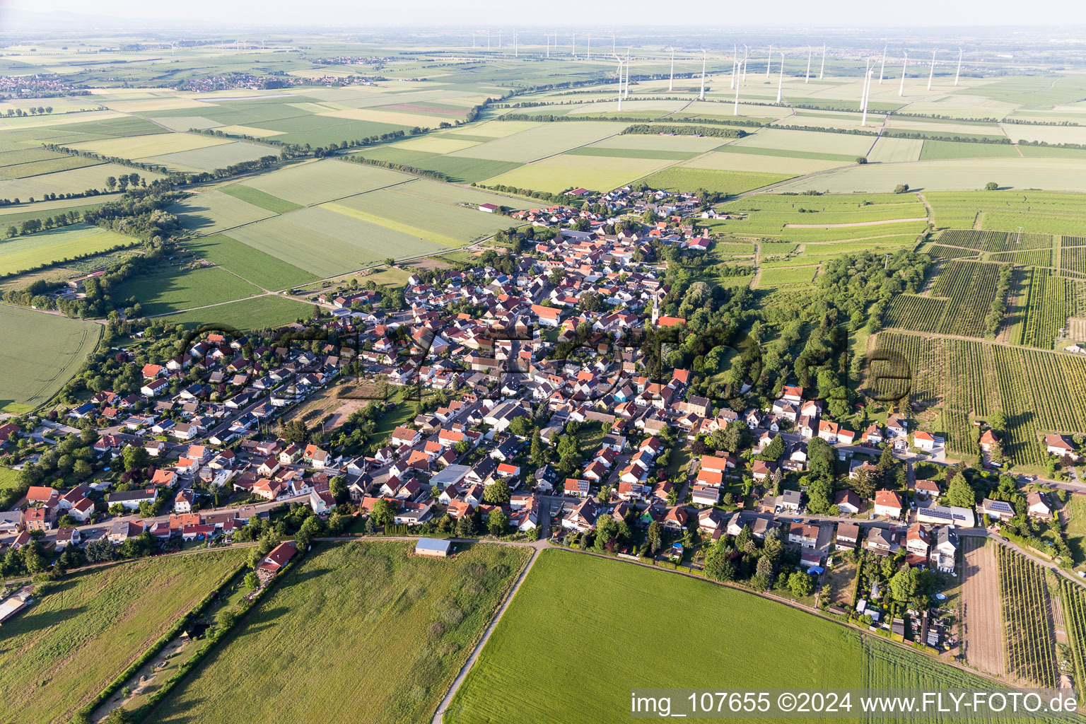 District Heßloch in Dittelsheim-Heßloch in the state Rhineland-Palatinate, Germany from the drone perspective