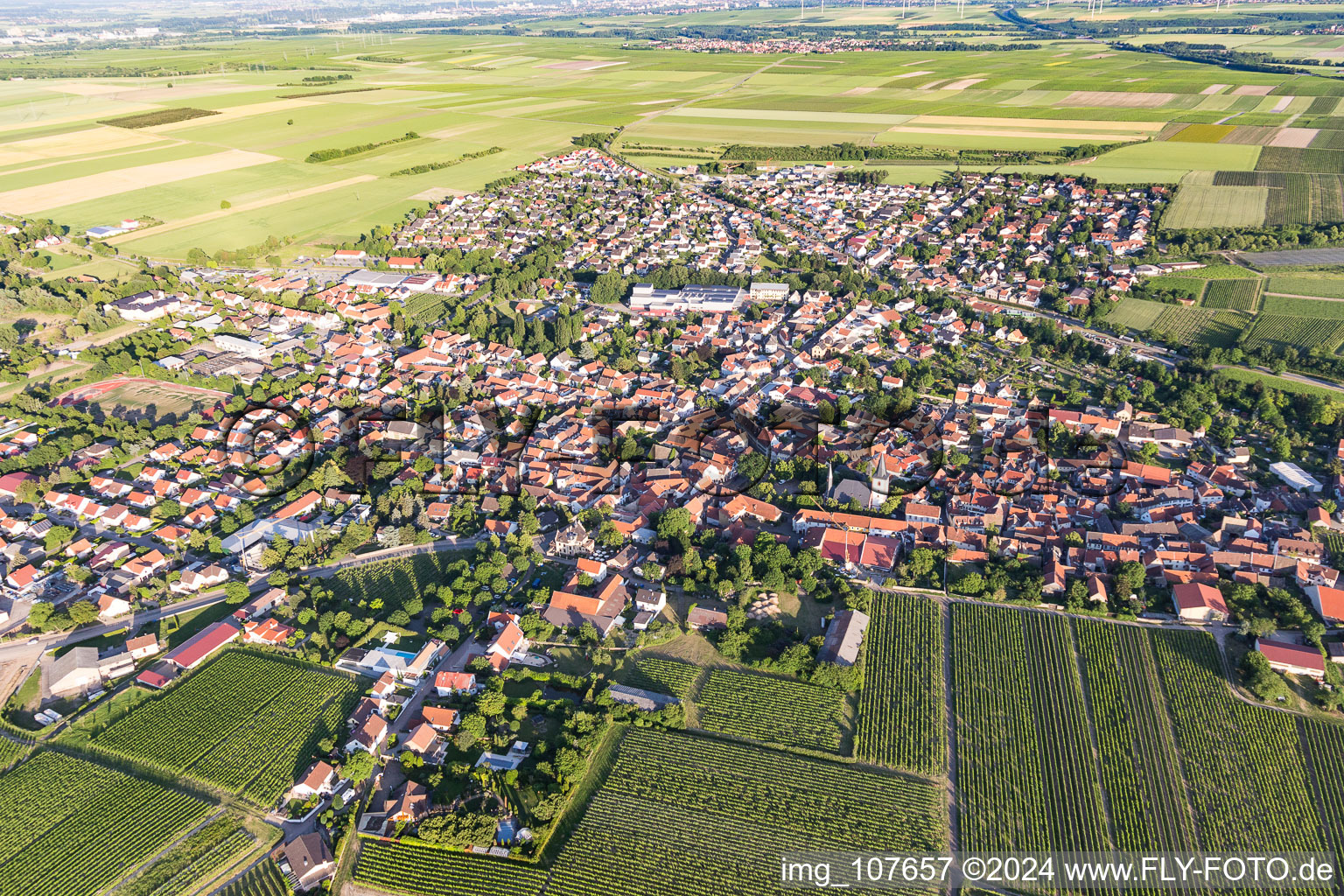 Agricultural land and field borders surround the settlement area of the village in Westhofen in the state Rhineland-Palatinate, Germany viewn from the air