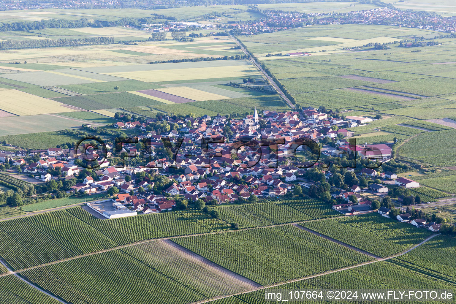 Aerial view of Gundheim in the state Rhineland-Palatinate, Germany