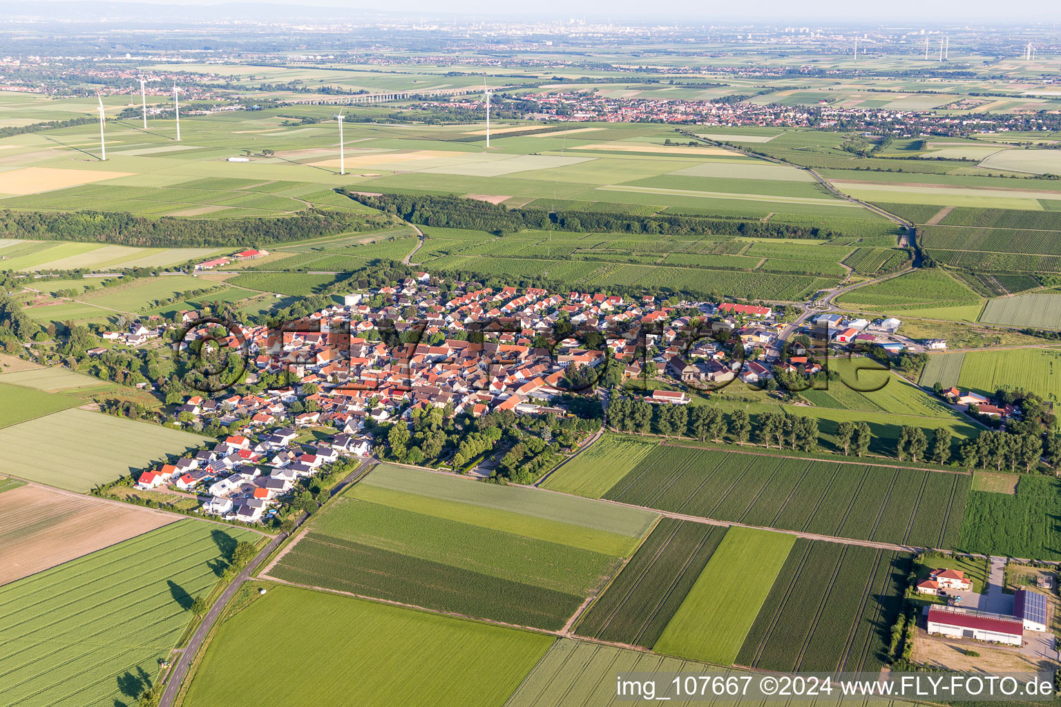 Agricultural land and field borders surround the settlement area of the village in Moerstadt in the state Rhineland-Palatinate, Germany
