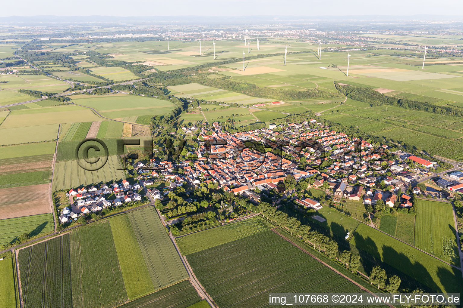 Aerial view of Mörstadt in the state Rhineland-Palatinate, Germany