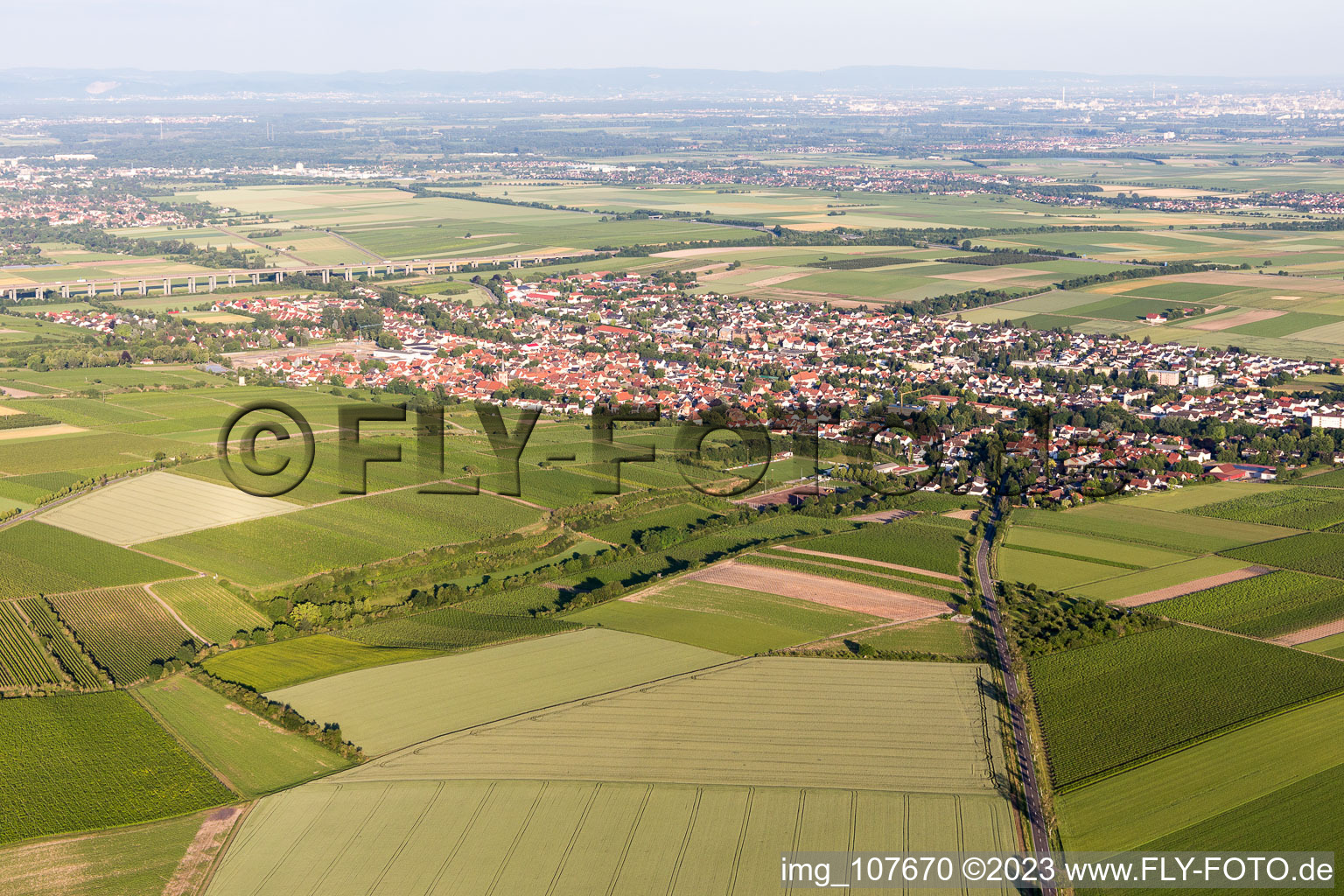 Aerial photograpy of District Pfeddersheim in Worms in the state Rhineland-Palatinate, Germany