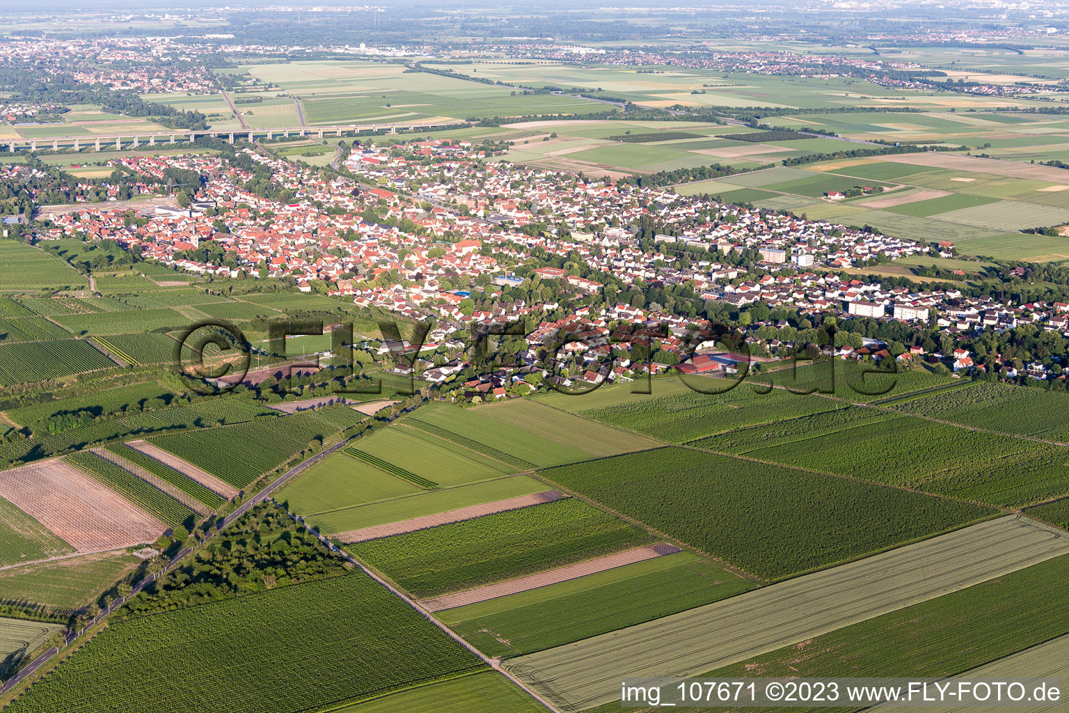 Oblique view of District Pfeddersheim in Worms in the state Rhineland-Palatinate, Germany