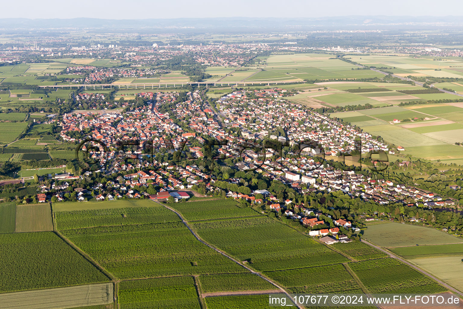 District Pfeddersheim in Worms in the state Rhineland-Palatinate, Germany from above