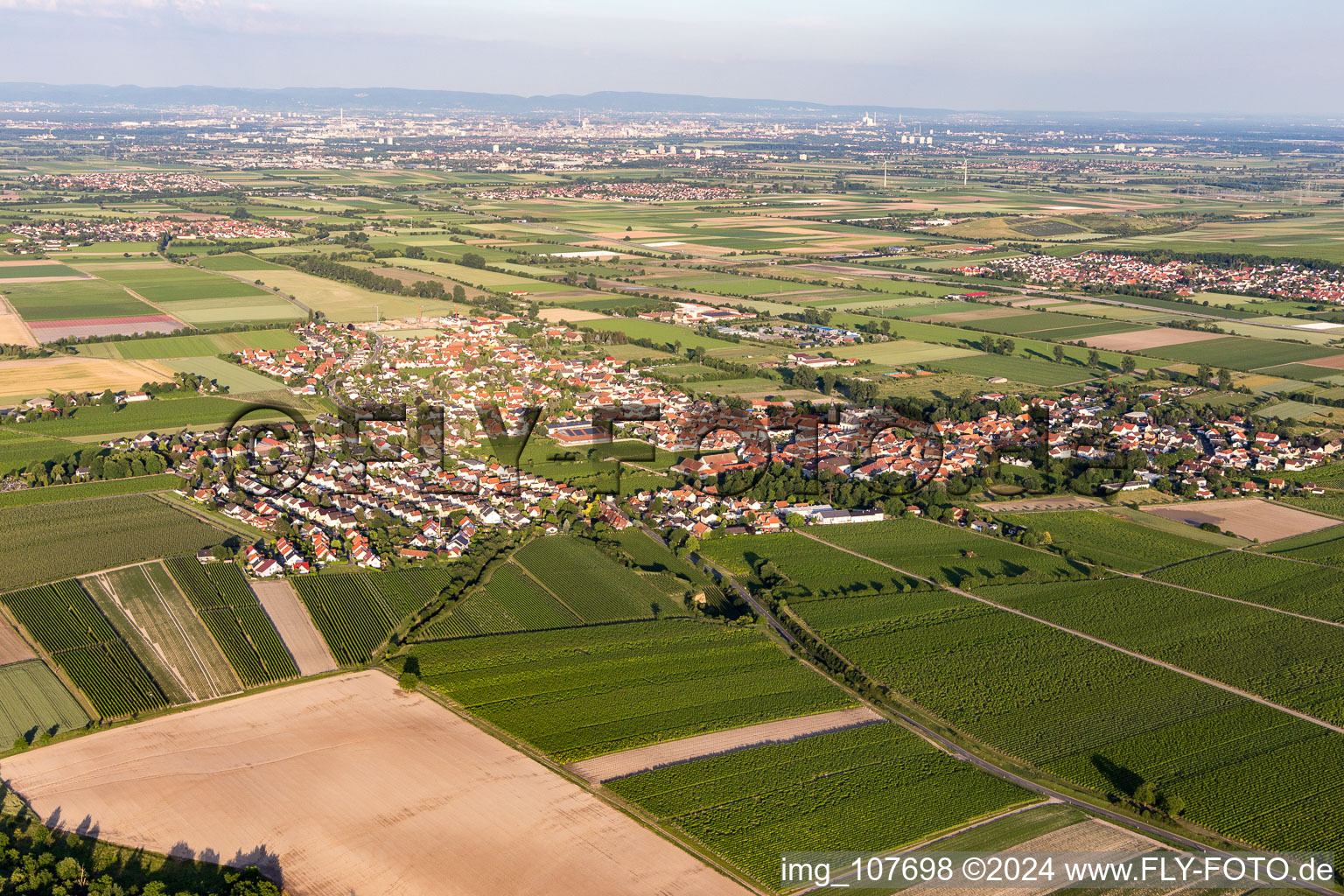 Agricultural land and field borders surround the settlement area of the village in Dirmstein in the state Rhineland-Palatinate, Germany