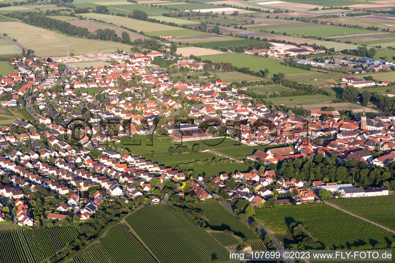 Aerial view of Dirmstein in the state Rhineland-Palatinate, Germany