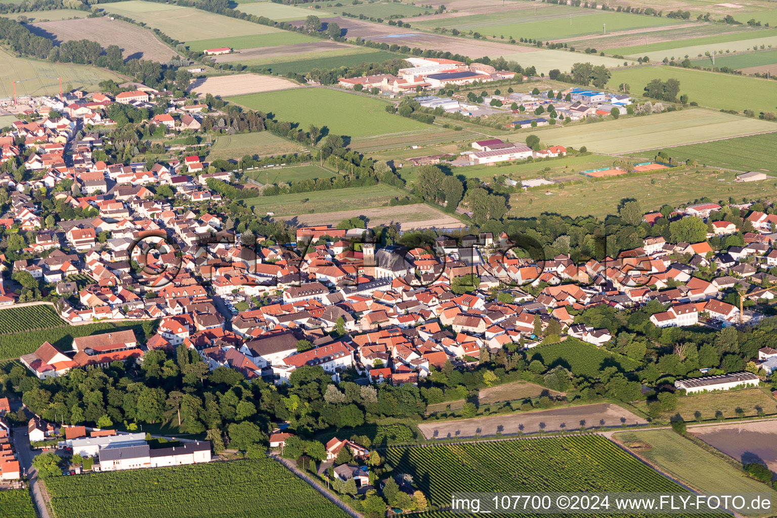 Aerial photograpy of Agricultural land and field borders surround the settlement area of the village in Dirmstein in the state Rhineland-Palatinate, Germany