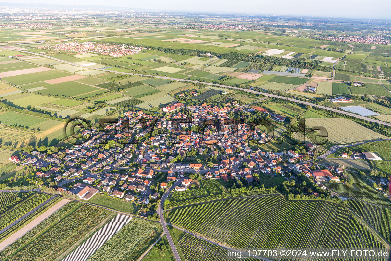 Aerial view of Agricultural land and field borders surround the settlement area of the village in Laumersheim in the state Rhineland-Palatinate, Germany