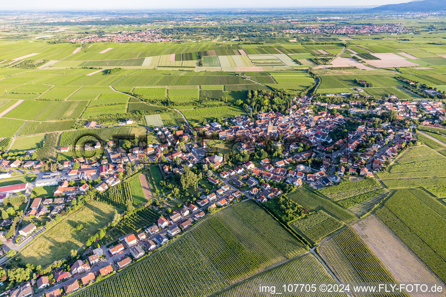 Village view on the edge of agricultural fields and land in Grosskarlbach in the state Rhineland-Palatinate, Germany