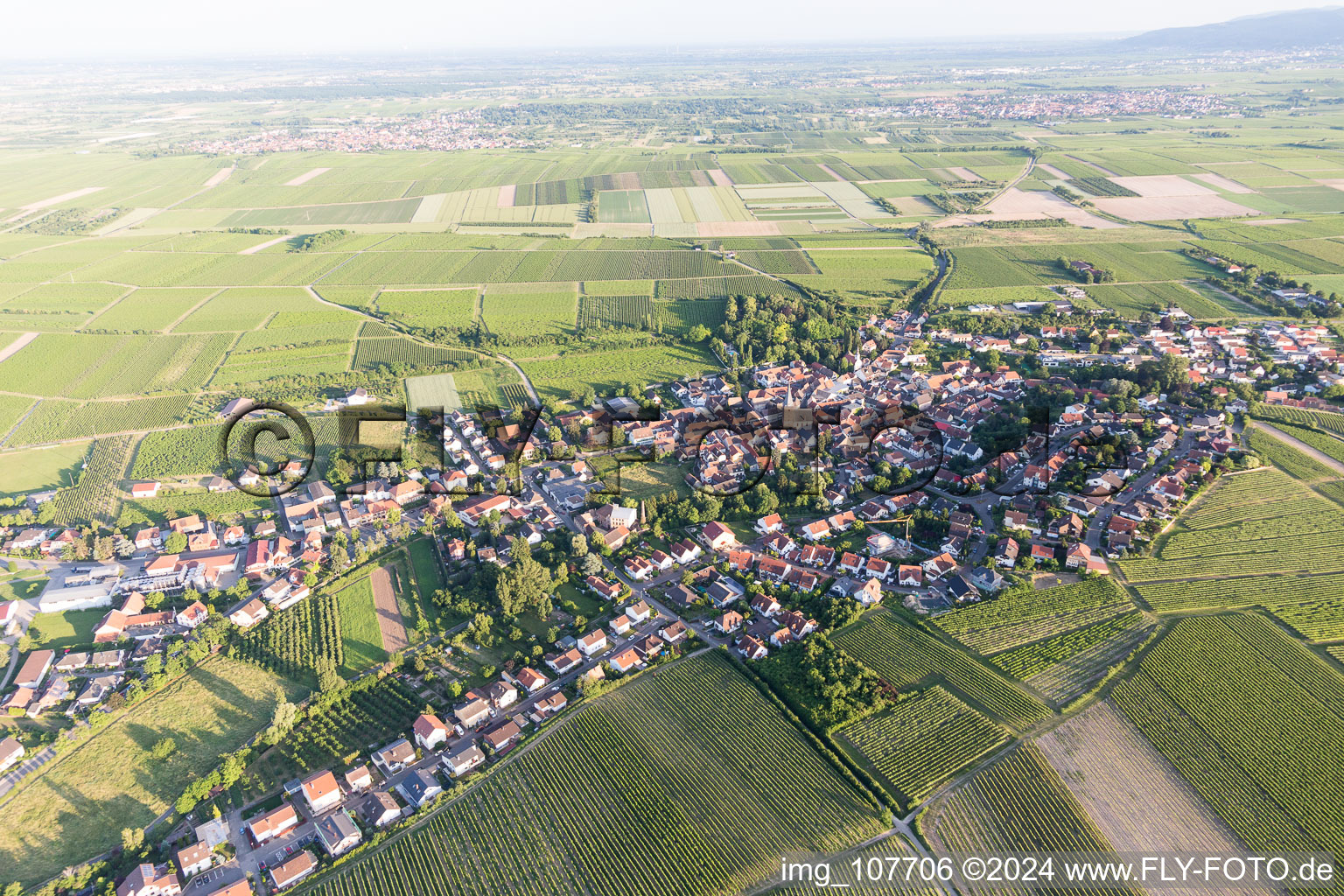 Großkarlbach in the state Rhineland-Palatinate, Germany