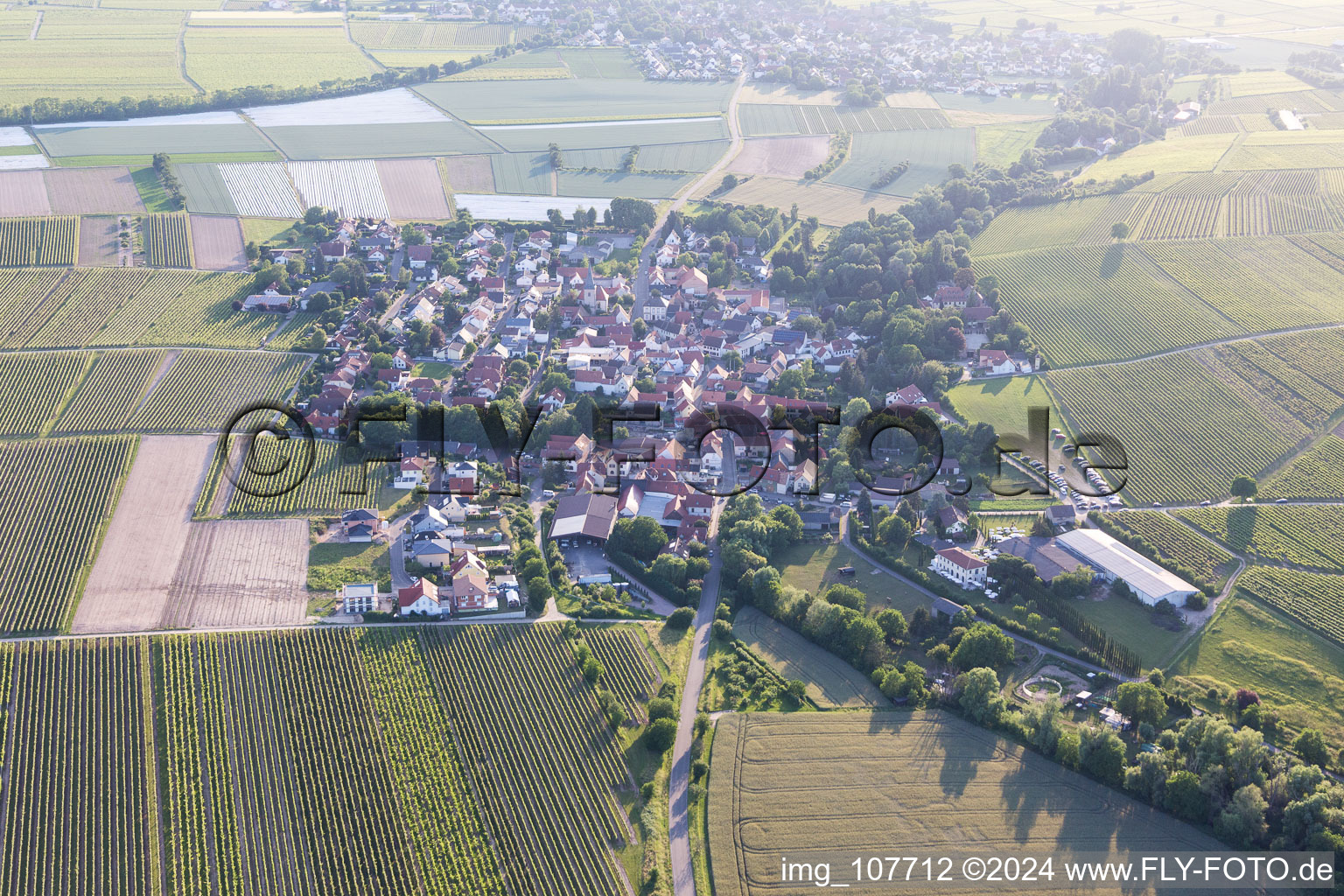 Aerial view of Bissersheim in the state Rhineland-Palatinate, Germany