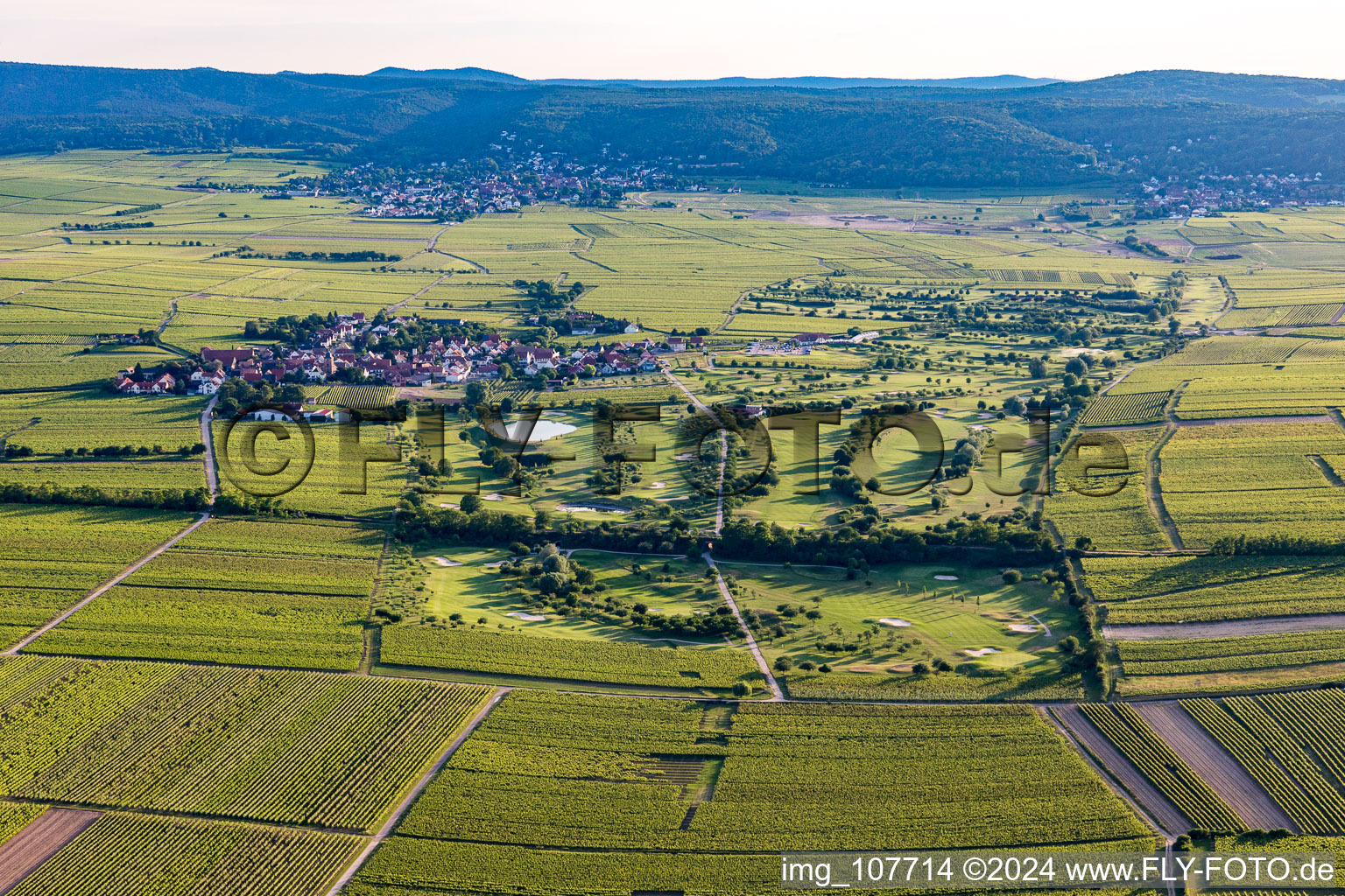 Oblique view of Golf course in Dackenheim in the state Rhineland-Palatinate, Germany