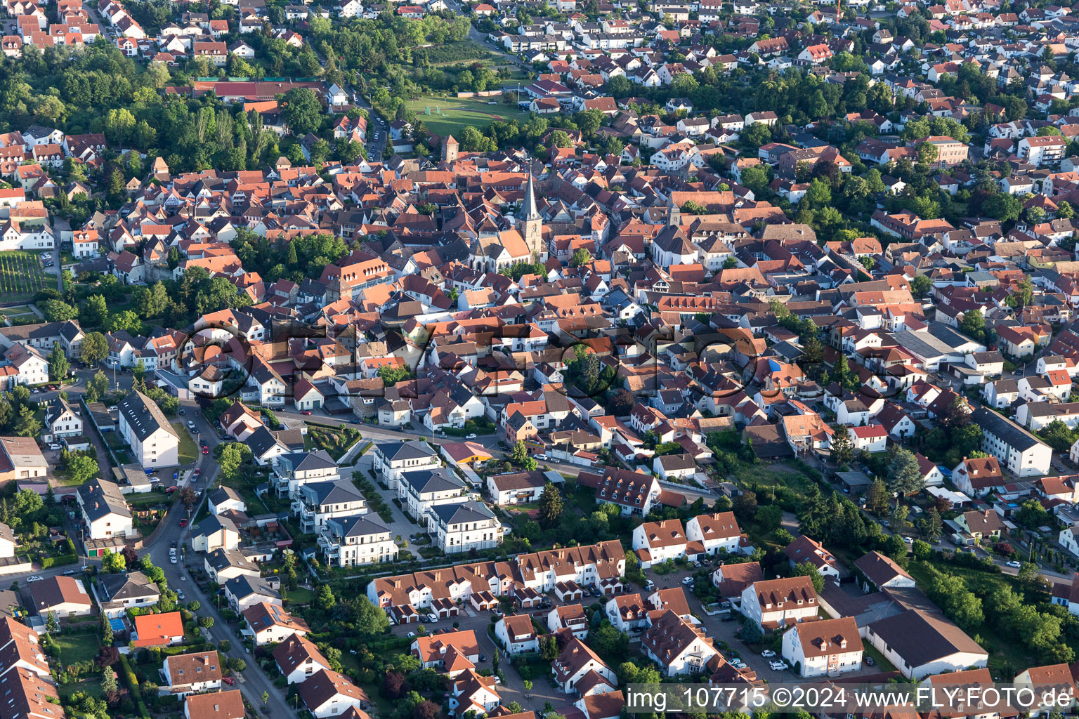 Bird's eye view of Freinsheim in the state Rhineland-Palatinate, Germany