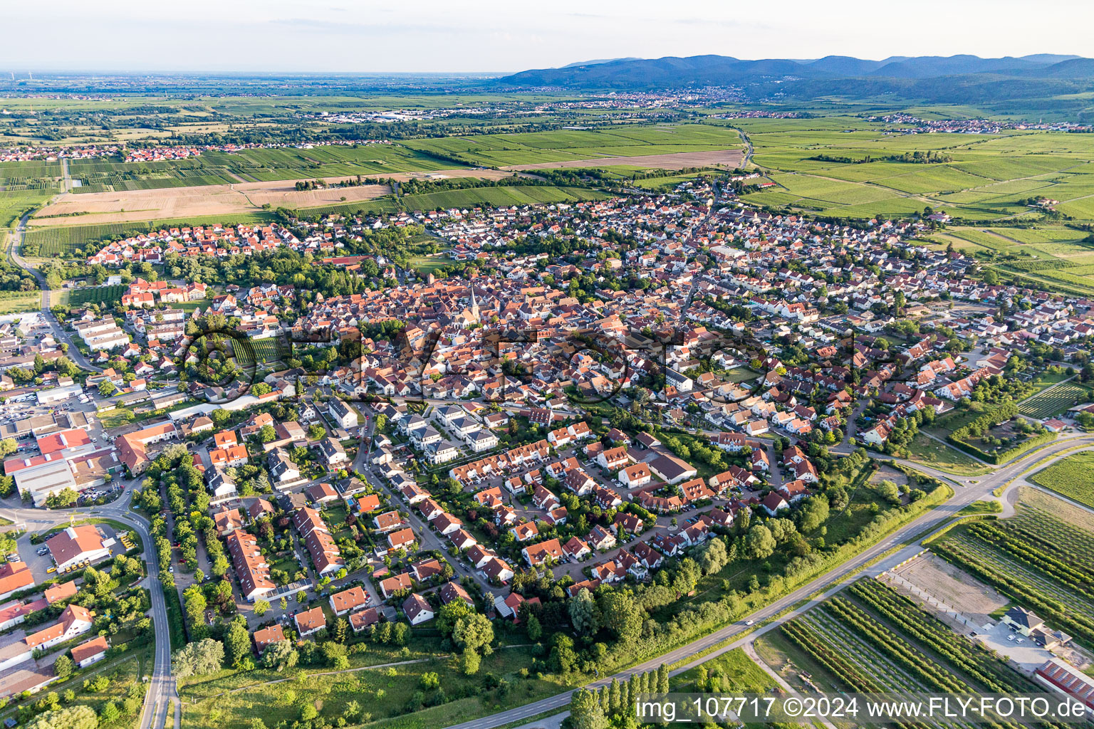 Freinsheim in the state Rhineland-Palatinate, Germany viewn from the air