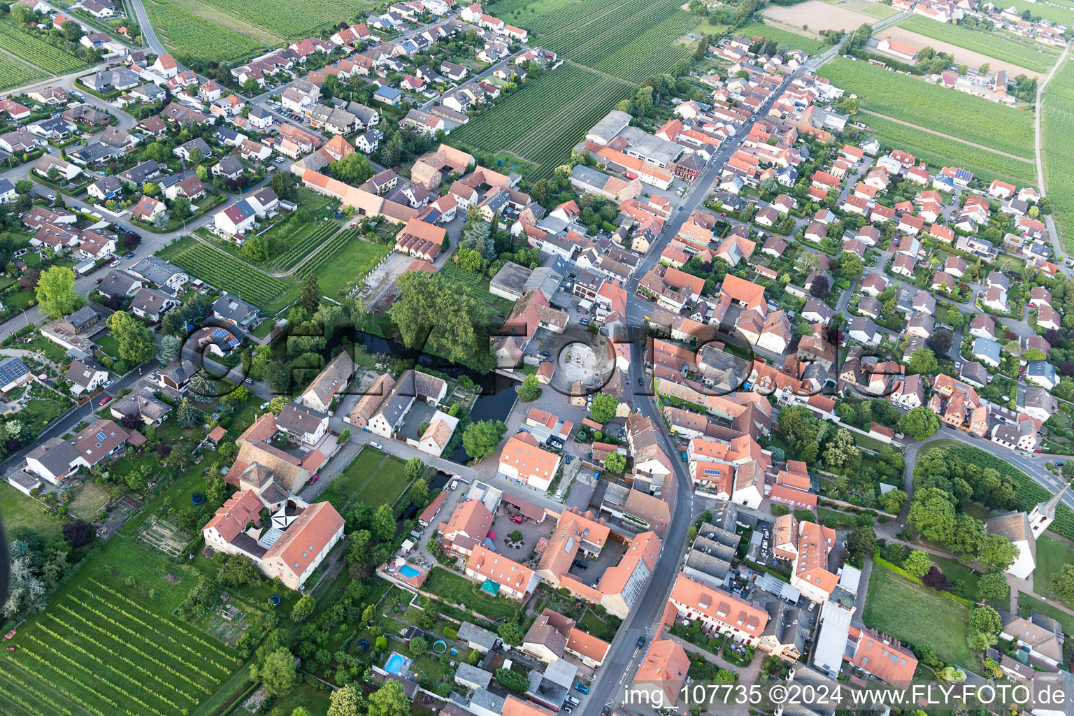 Friedelsheim in the state Rhineland-Palatinate, Germany from above