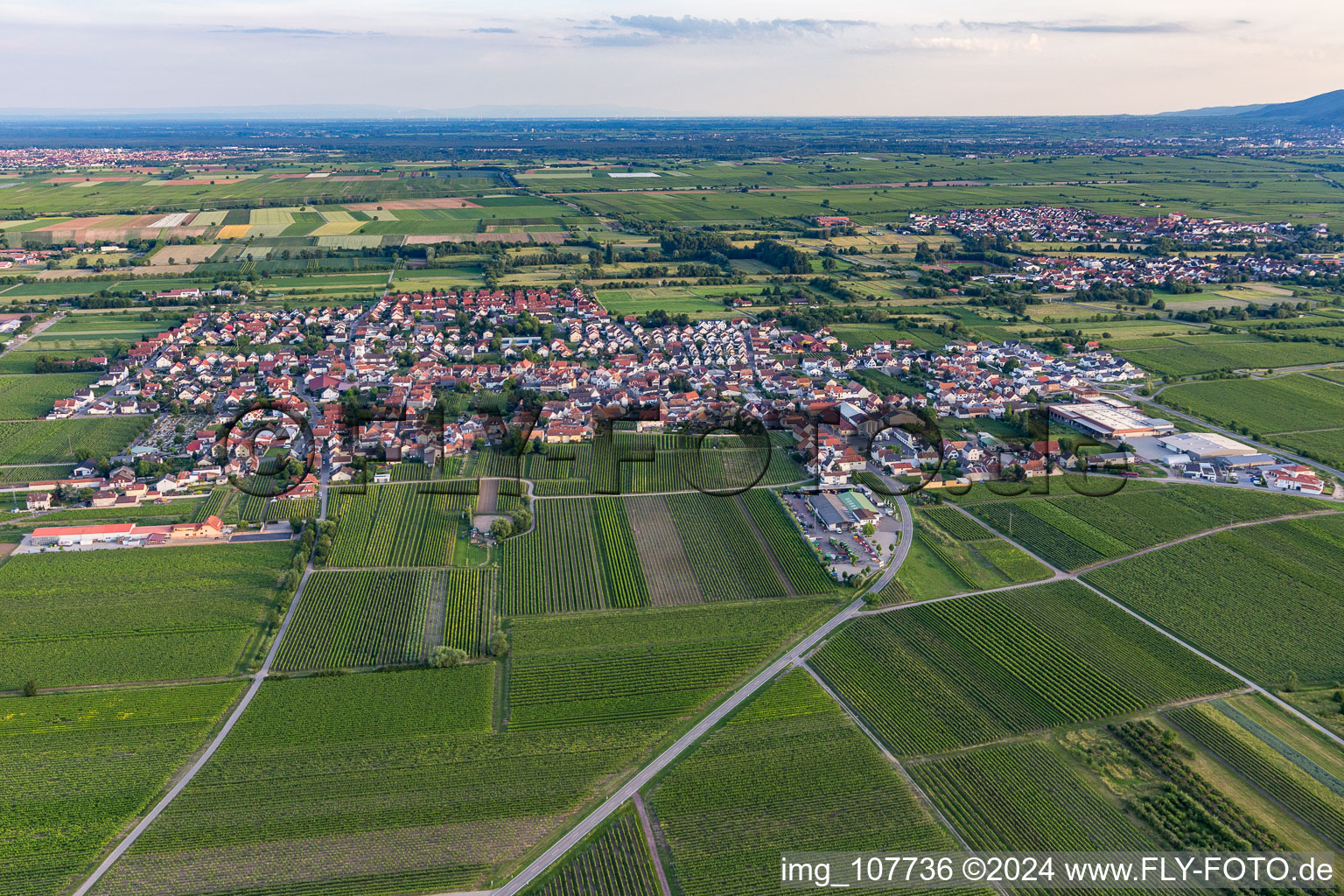 From northeast in the district Niederkirchen in Niederkirchen bei Deidesheim in the state Rhineland-Palatinate, Germany