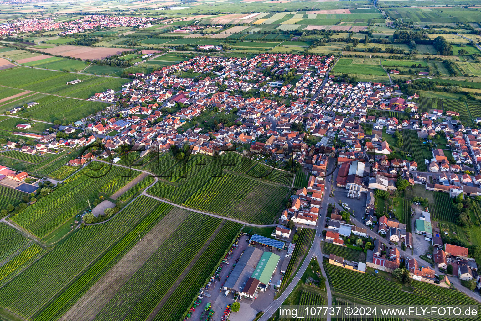 Oblique view of Niederkirchen bei Deidesheim in the state Rhineland-Palatinate, Germany