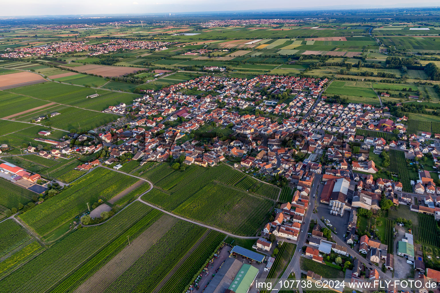 Niederkirchen bei Deidesheim in the state Rhineland-Palatinate, Germany from above