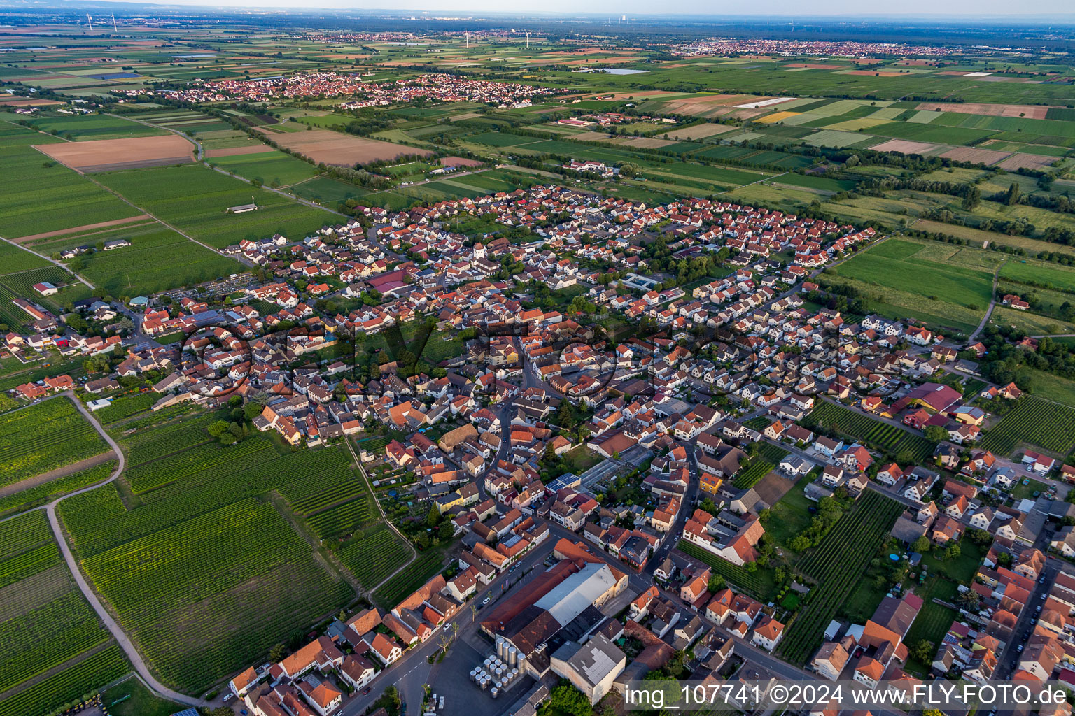 Village view on the edge of agricultural fields and land in Niederkirchen bei Deidesheim in the state Rhineland-Palatinate, Germany