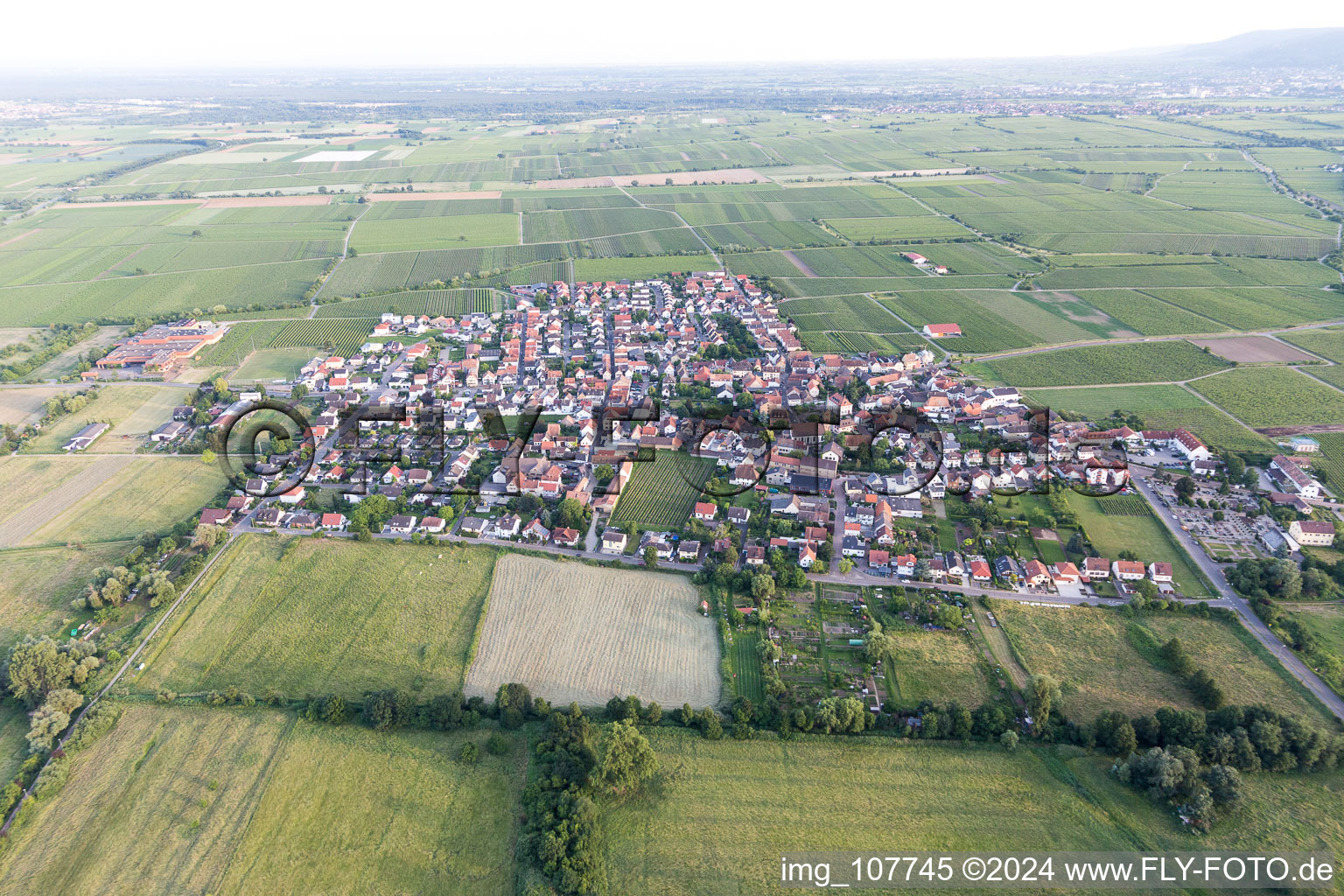 Bird's eye view of Ruppertsberg in the state Rhineland-Palatinate, Germany