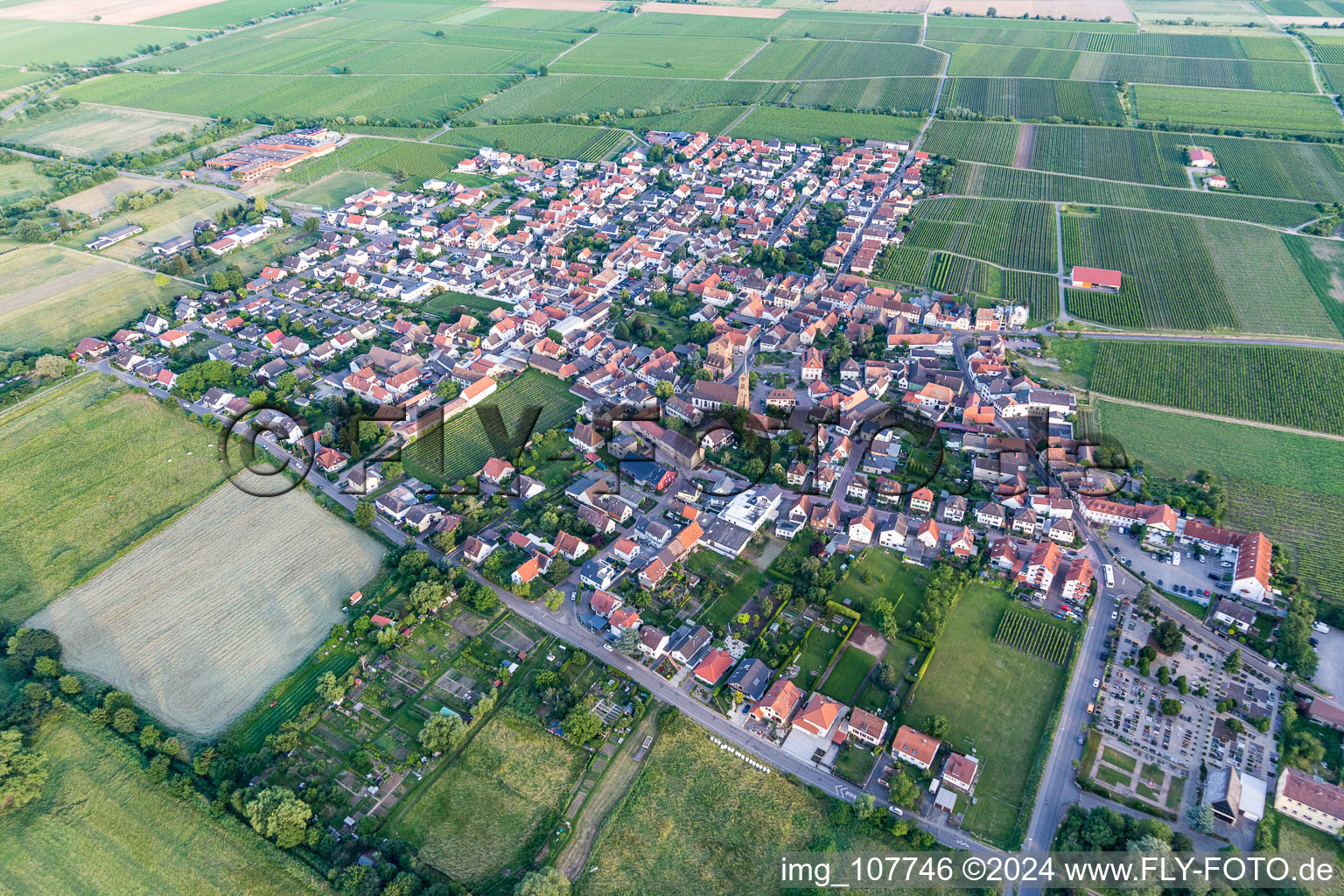 Agricultural land and field borders surround the settlement area of the village in Ruppertsberg in the state Rhineland-Palatinate, Germany viewn from the air