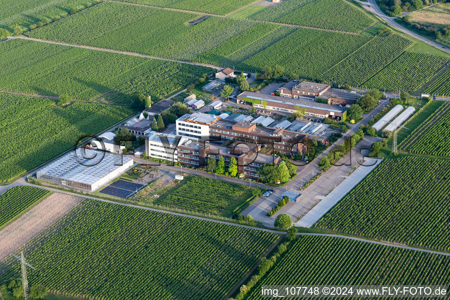 Administrative building of the State Authority of Dienstleistungszentrum Laendlicher Raum Rheinpfalz in the district Mussbach in Neustadt an der Weinstrasse in the state Rhineland-Palatinate, Germany