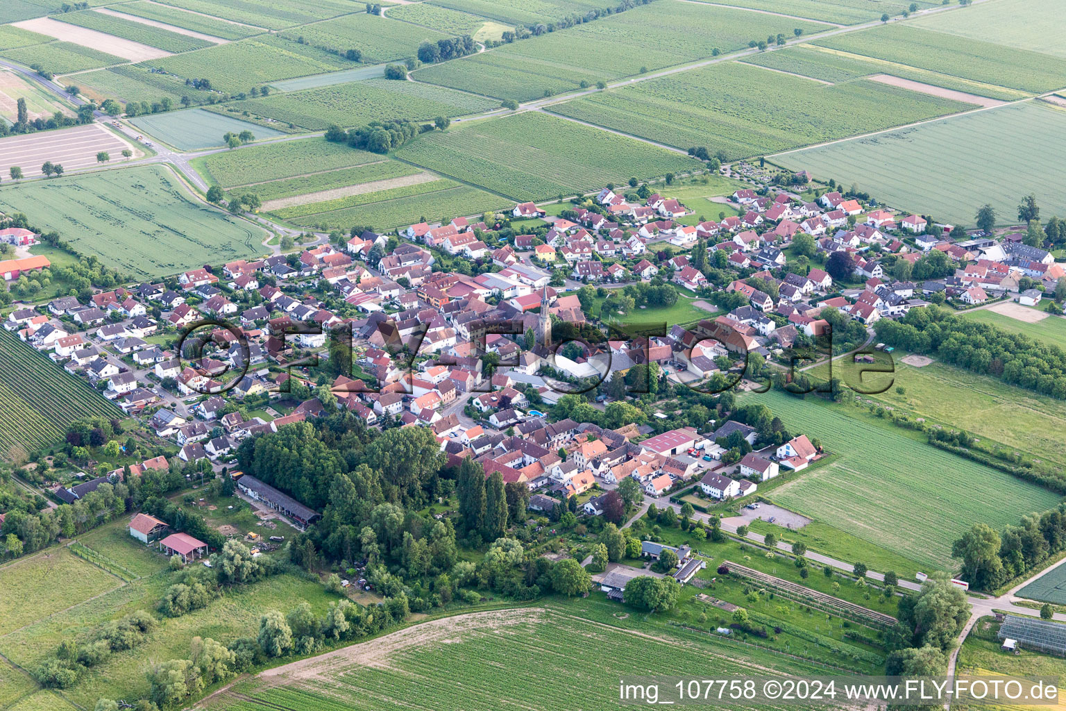 Großfischlingen in the state Rhineland-Palatinate, Germany viewn from the air