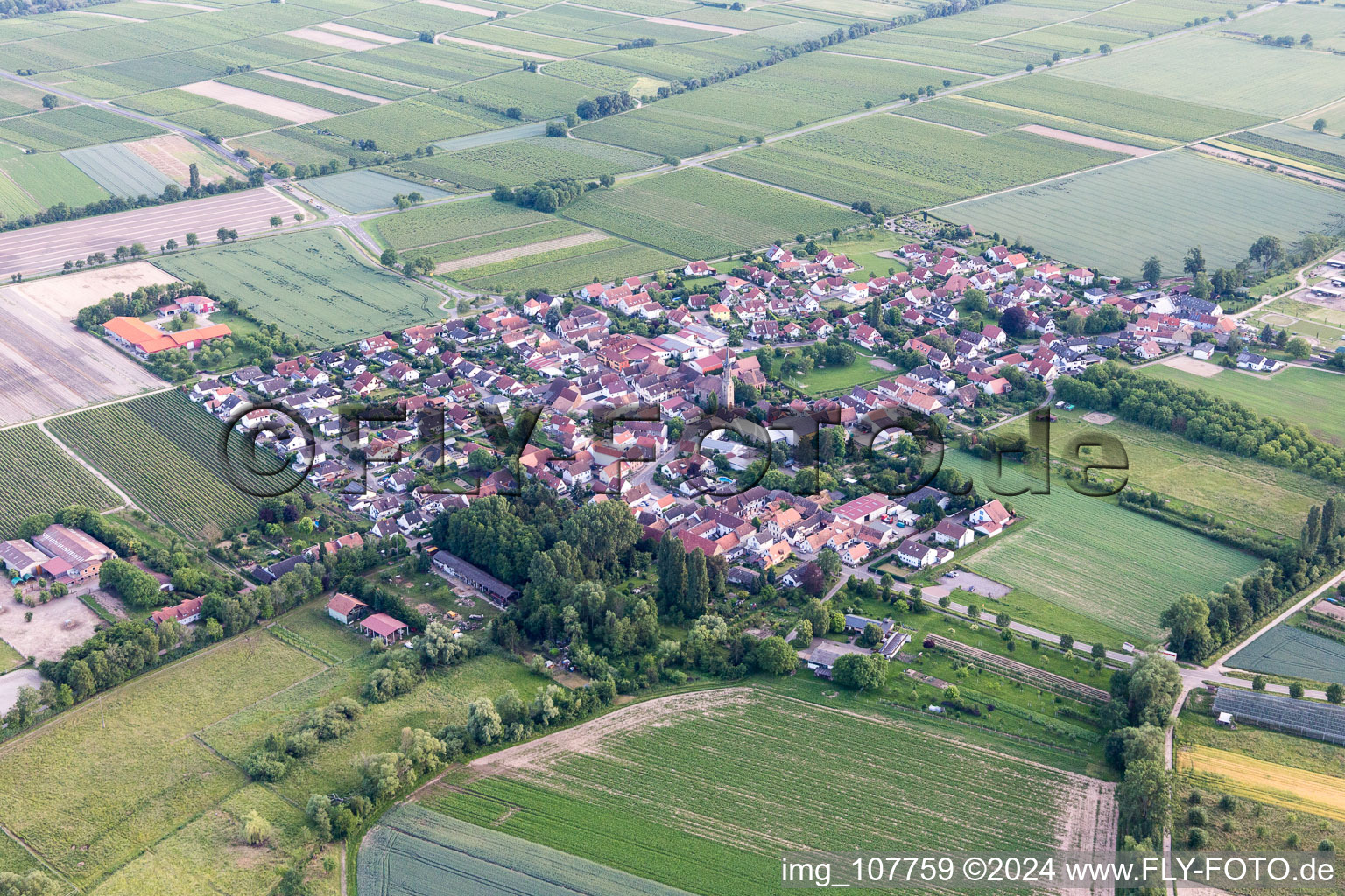 Drone recording of Großfischlingen in the state Rhineland-Palatinate, Germany