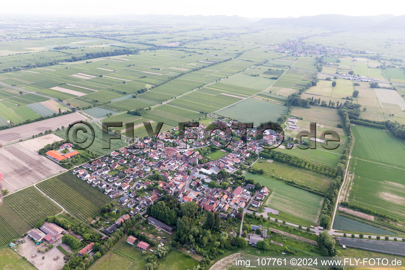 Großfischlingen in the state Rhineland-Palatinate, Germany from the drone perspective