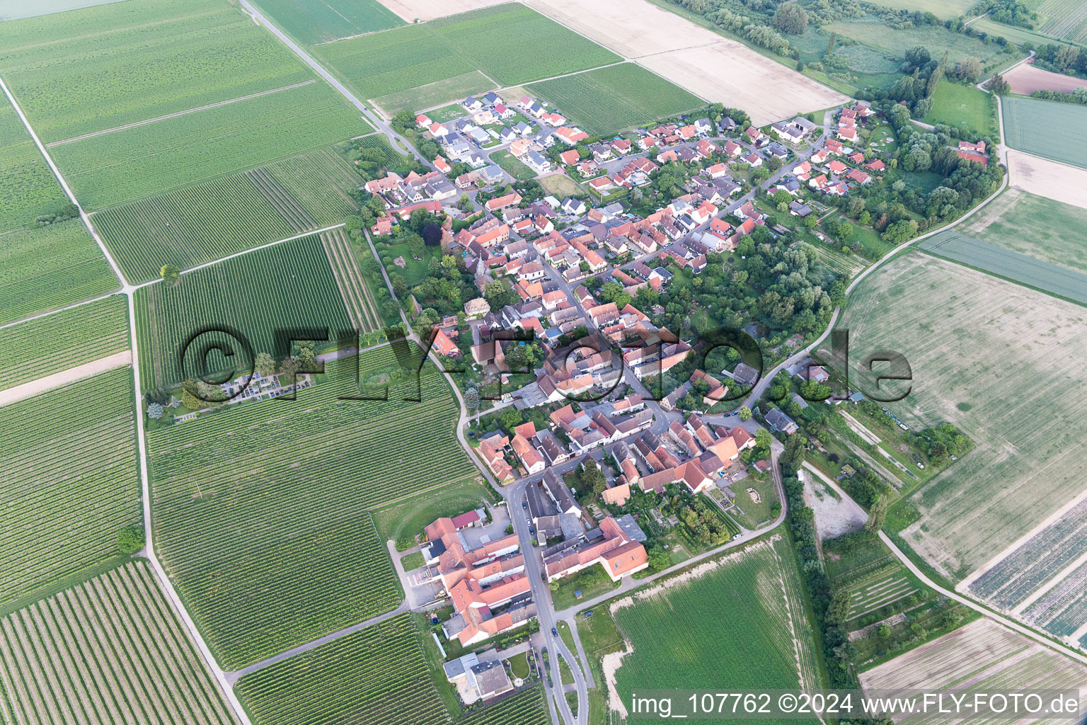 Bird's eye view of Kleinfischlingen in the state Rhineland-Palatinate, Germany