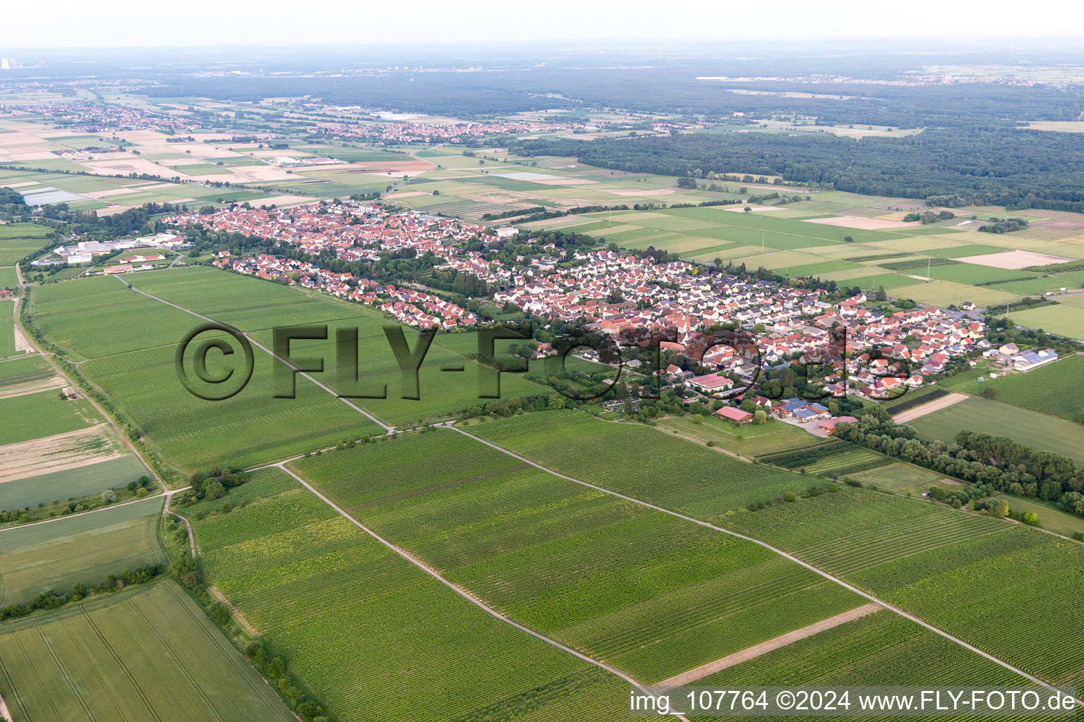 Aerial photograpy of Essingen in the state Rhineland-Palatinate, Germany