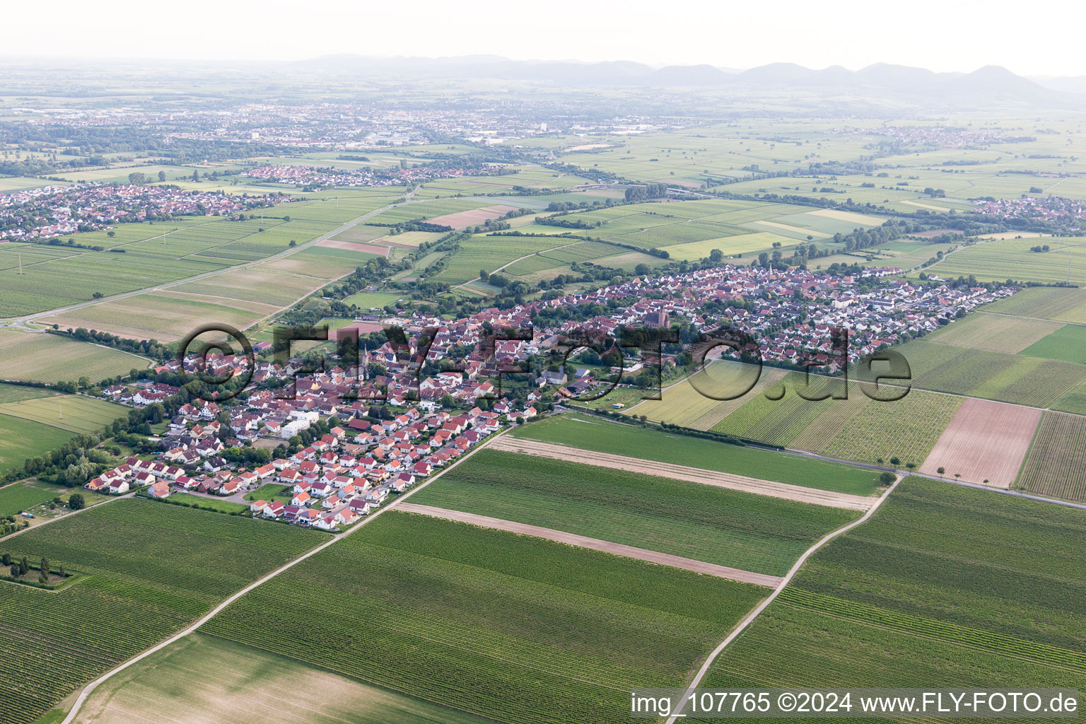 Oblique view of Essingen in the state Rhineland-Palatinate, Germany