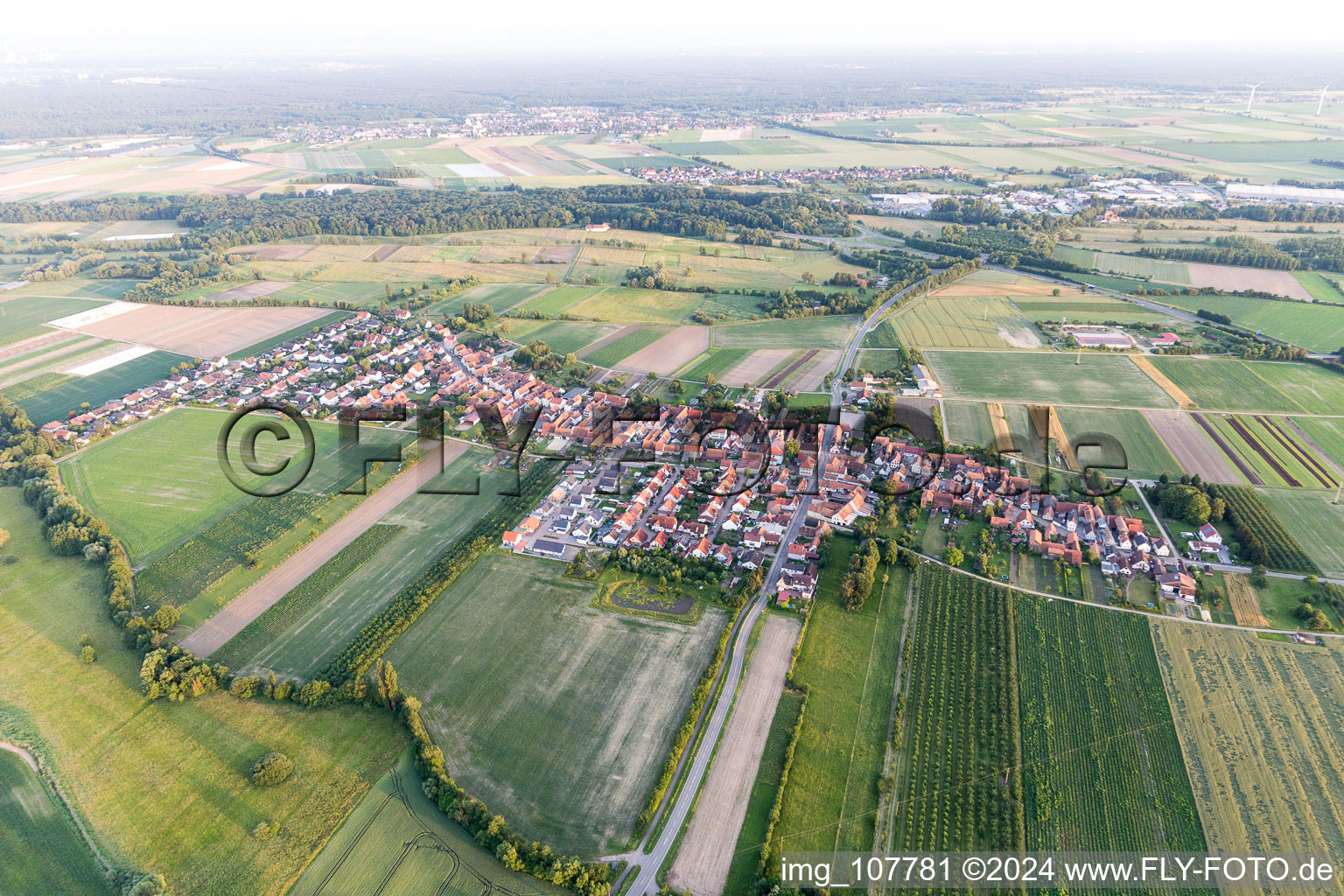 From the north in Erlenbach bei Kandel in the state Rhineland-Palatinate, Germany