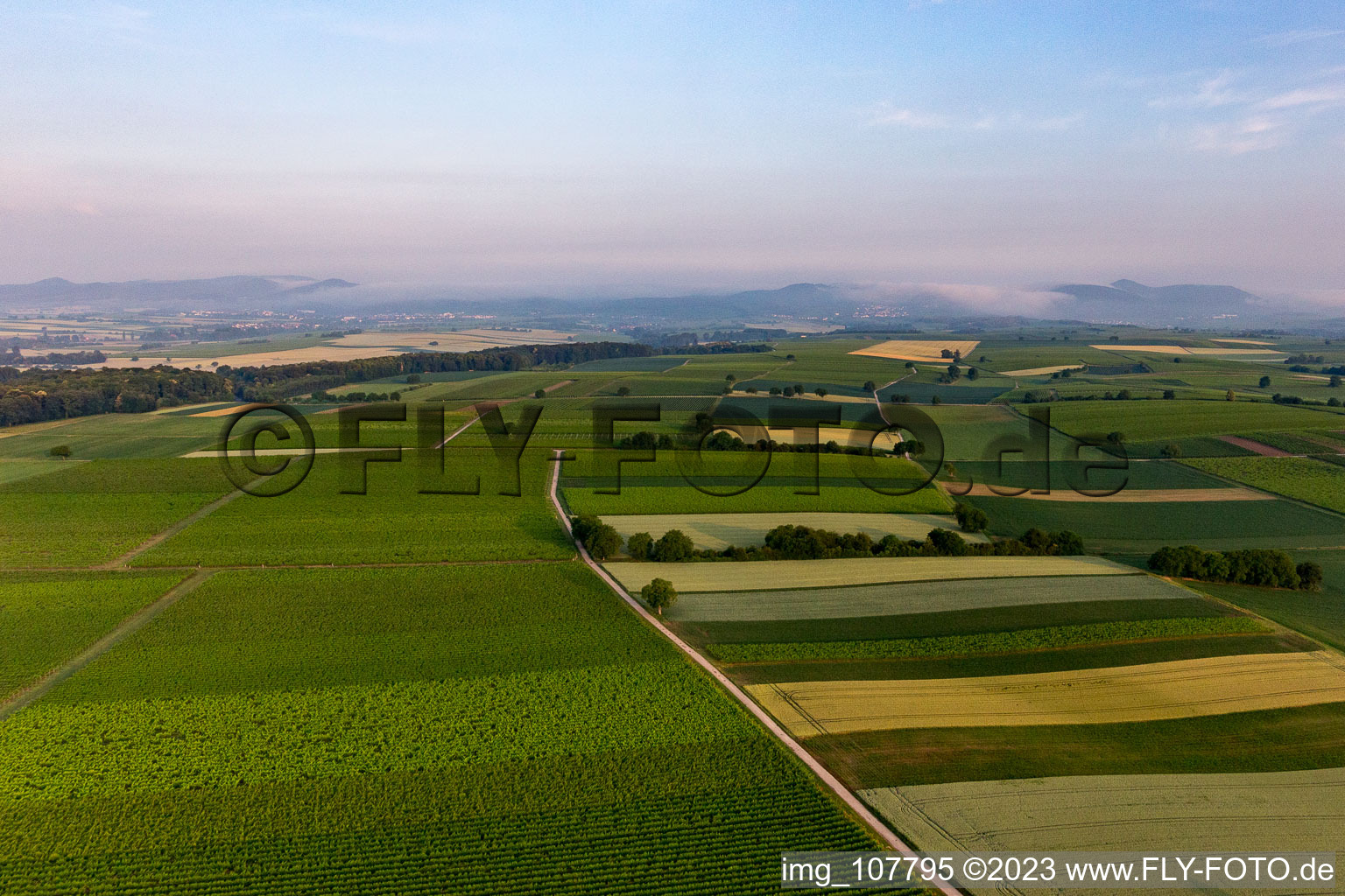 Winden in the state Rhineland-Palatinate, Germany from a drone