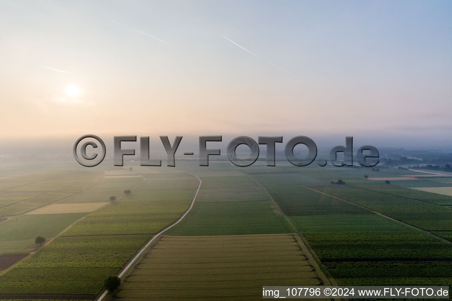 Hergersweiler in the state Rhineland-Palatinate, Germany from the plane