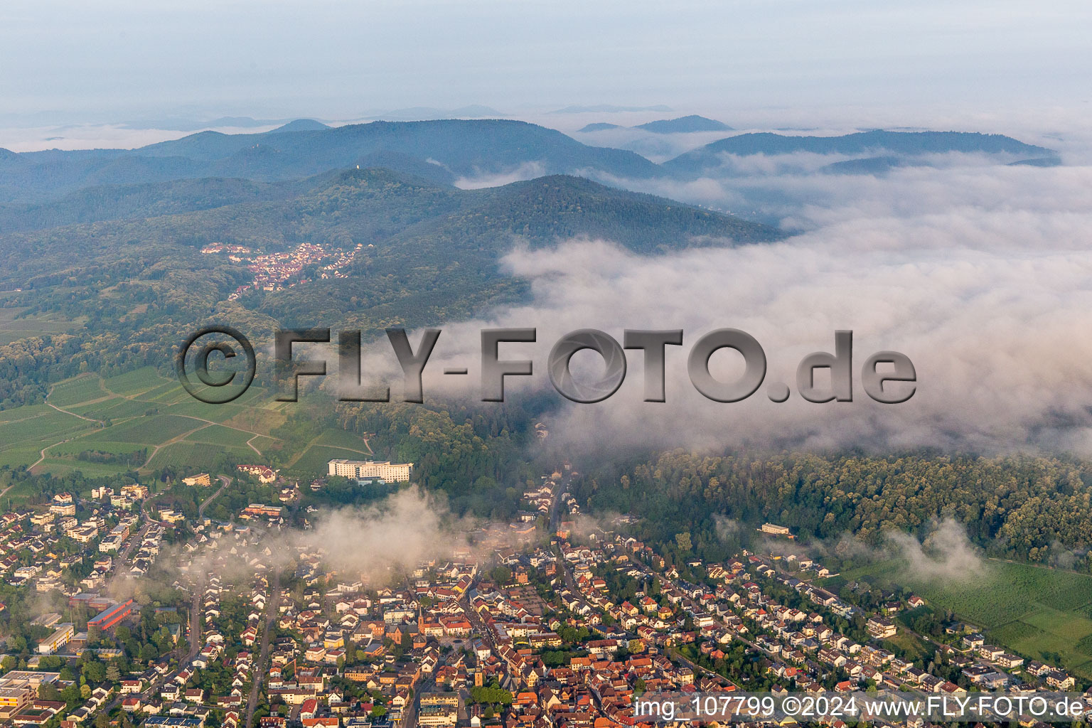 Drone recording of Bad Bergzabern in the state Rhineland-Palatinate, Germany