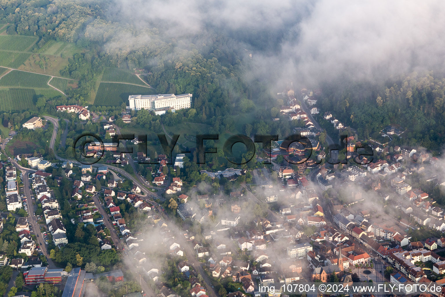 Aerial view of Bad Bergzabern in the state Rhineland-Palatinate, Germany