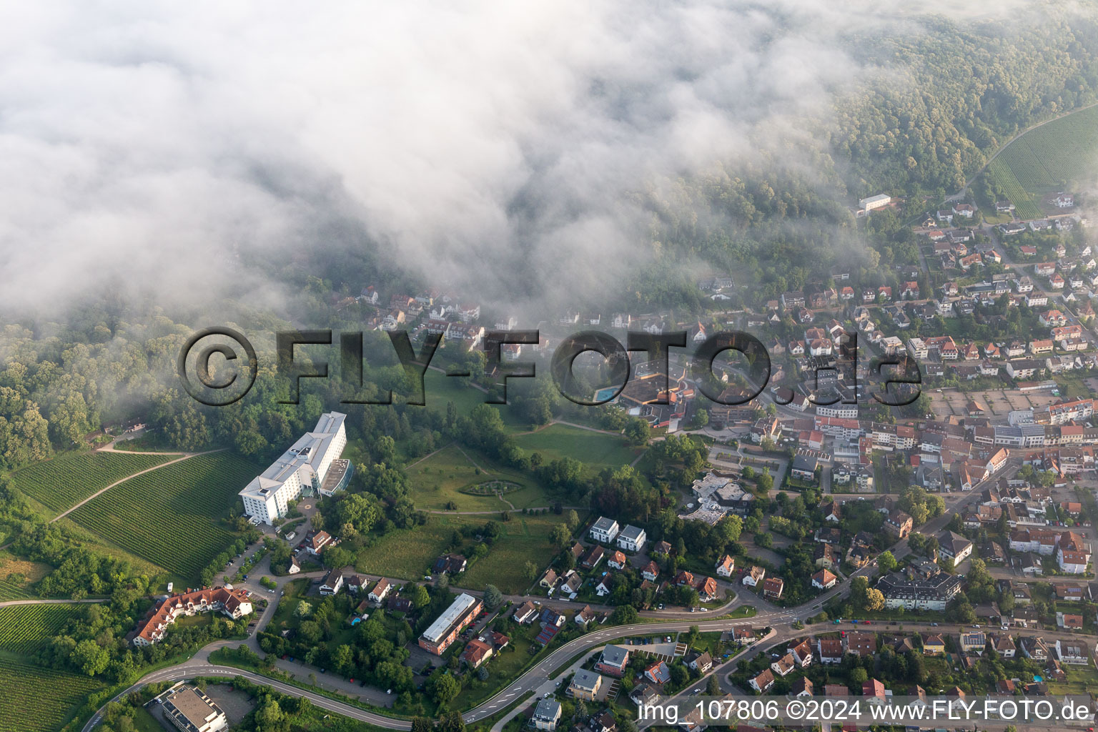 Oblique view of Bad Bergzabern in the state Rhineland-Palatinate, Germany