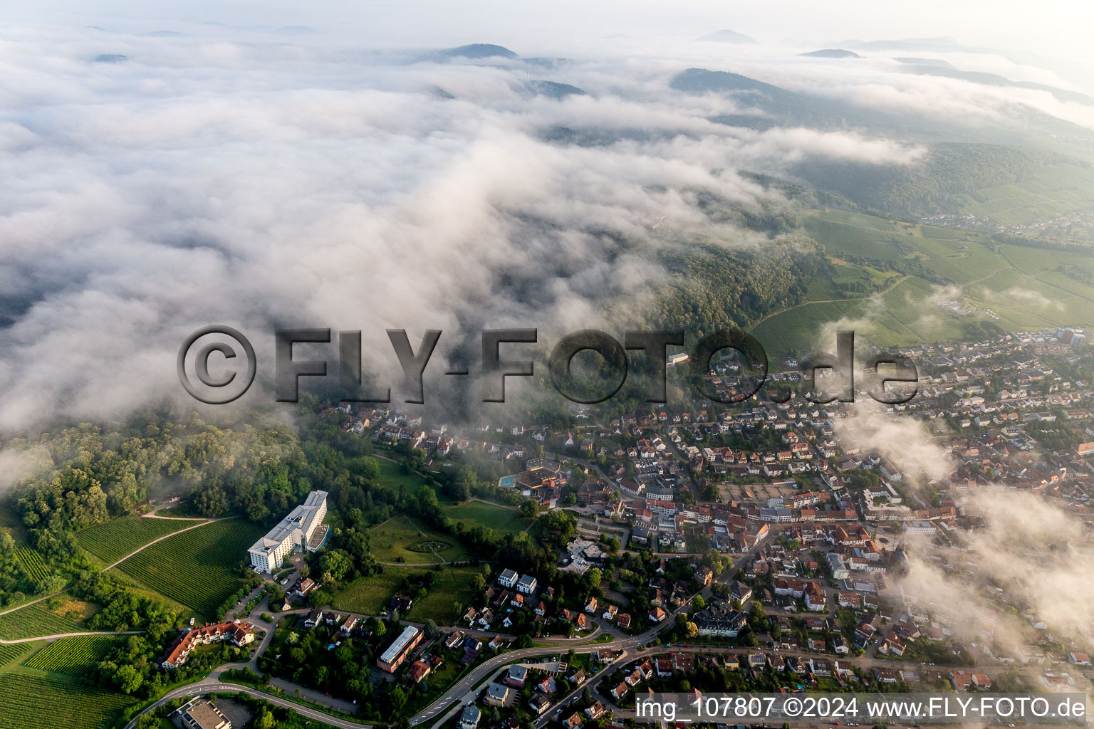 Bad Bergzabern in the state Rhineland-Palatinate, Germany from above