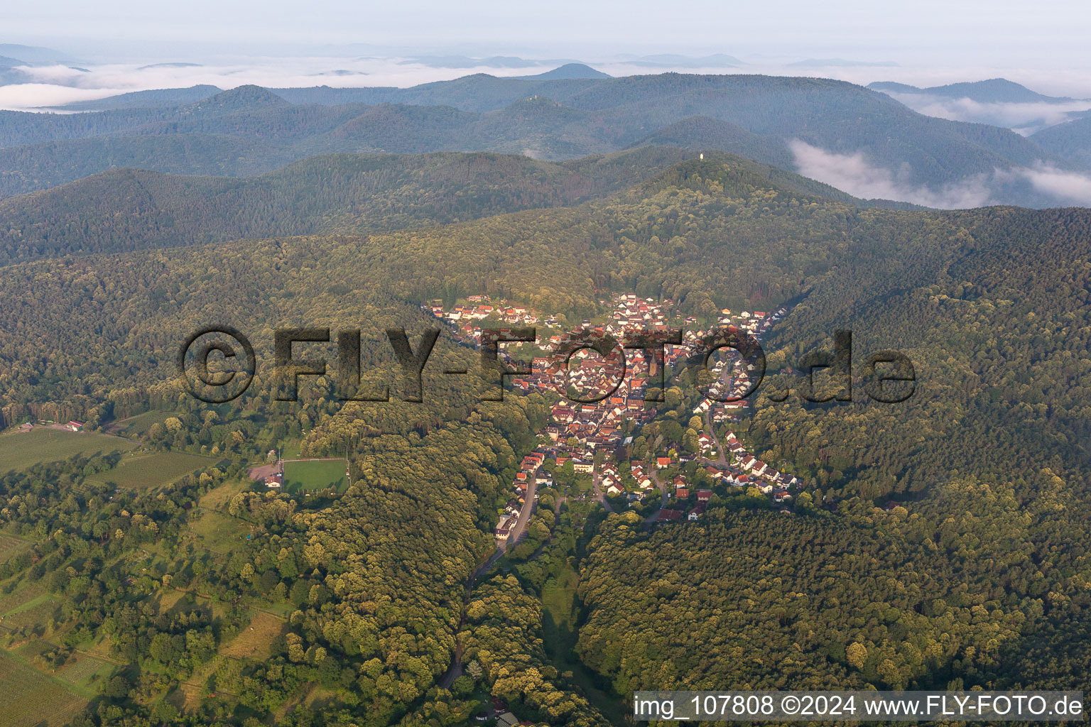 Bird's eye view of Dörrenbach in the state Rhineland-Palatinate, Germany