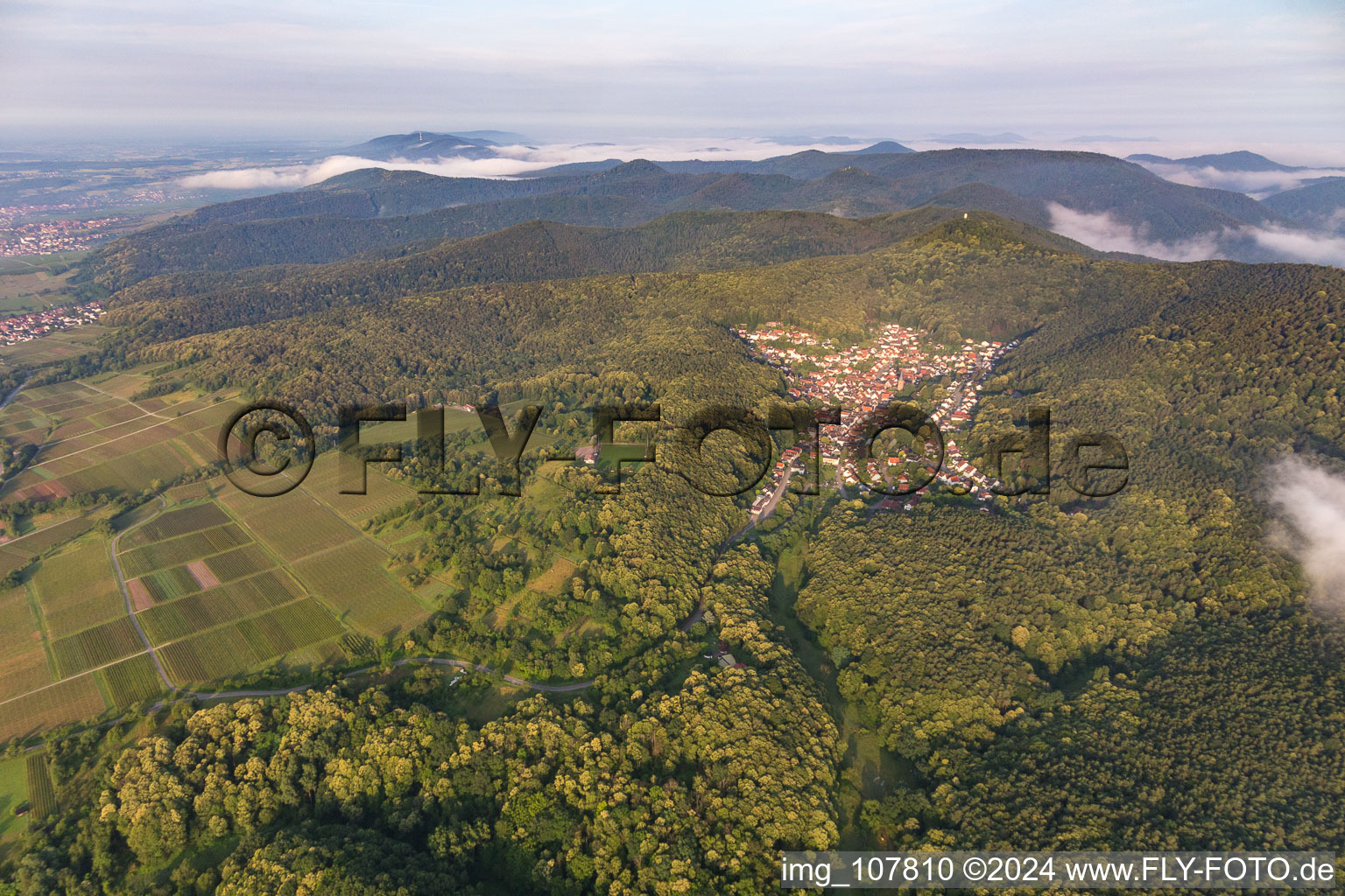 Drone recording of Dörrenbach in the state Rhineland-Palatinate, Germany