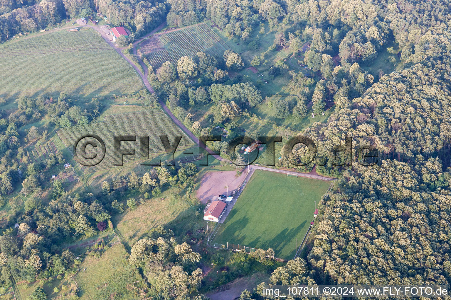 Drone image of Dörrenbach in the state Rhineland-Palatinate, Germany