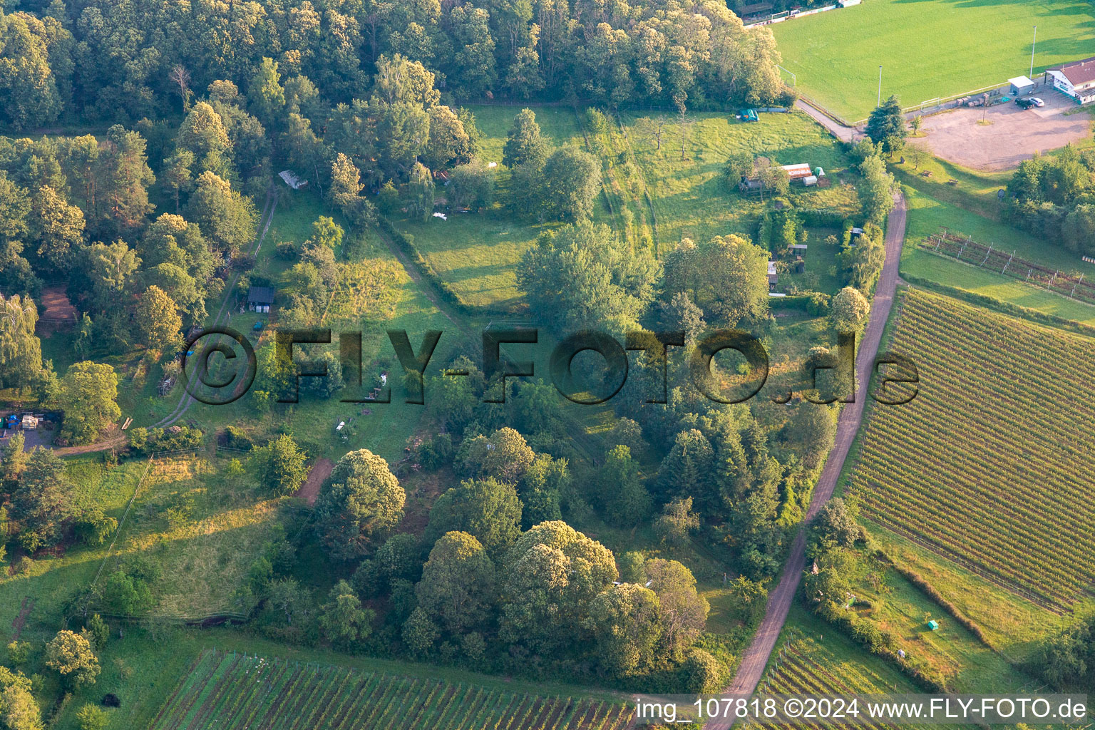 Dörrenbach in the state Rhineland-Palatinate, Germany from a drone