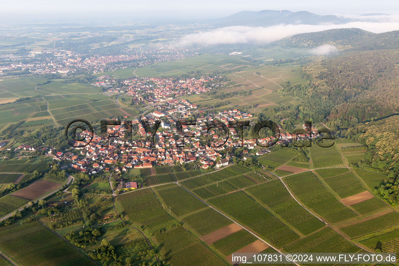 District Rechtenbach in Schweigen-Rechtenbach in the state Rhineland-Palatinate, Germany viewn from the air