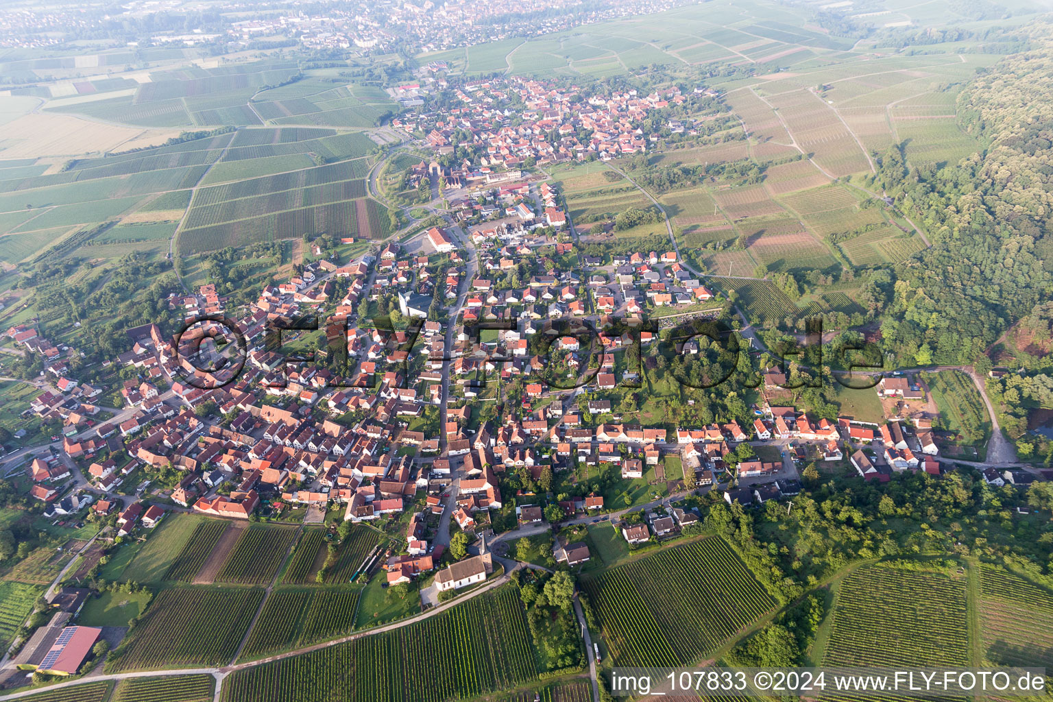 Drone image of District Rechtenbach in Schweigen-Rechtenbach in the state Rhineland-Palatinate, Germany