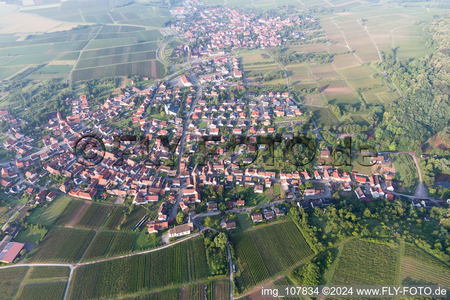 District Rechtenbach in Schweigen-Rechtenbach in the state Rhineland-Palatinate, Germany from the drone perspective